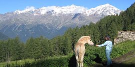 Attivit&agrave; e sport in Estate 17