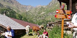 Attivit&agrave; e sport in Estate 16