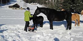 Attivit&agrave; e sport in Inverno 17